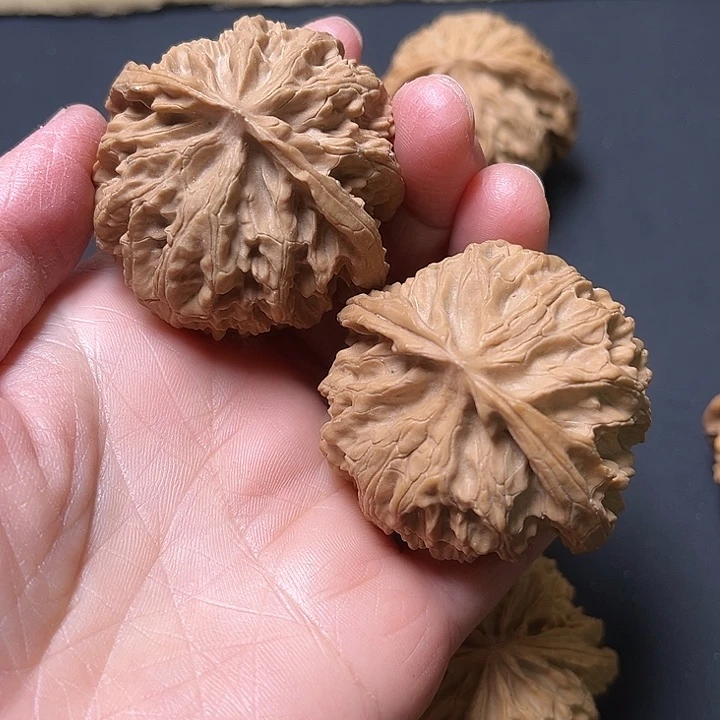 猜***核桃苹果园45+白茶小磕