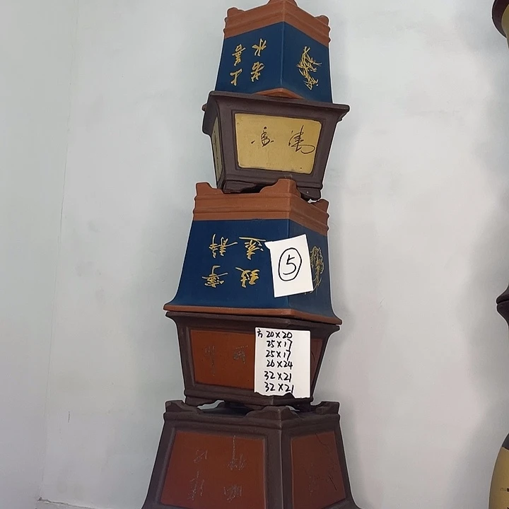 05一家漏啦sap不哭