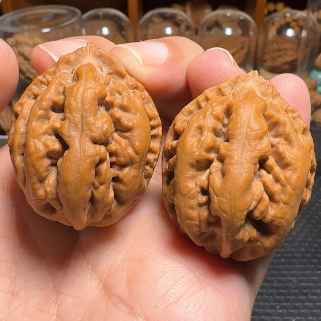 文玩核桃把件粗筋霸王龙