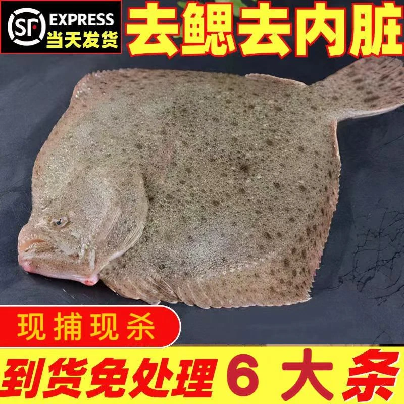 帮杀 深海多宝鱼450g-550g/条 鲜活宰杀去腮去内脏 顺丰冷链发货