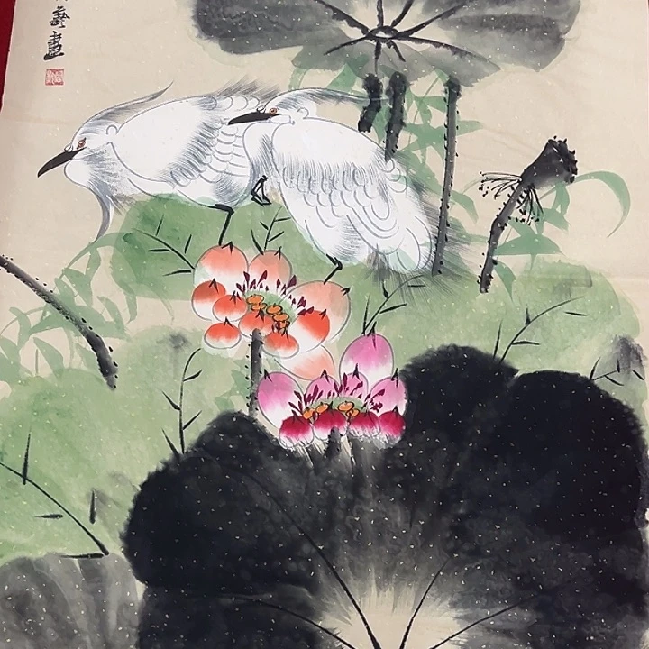 横款新号开播，进来惊喜连连……