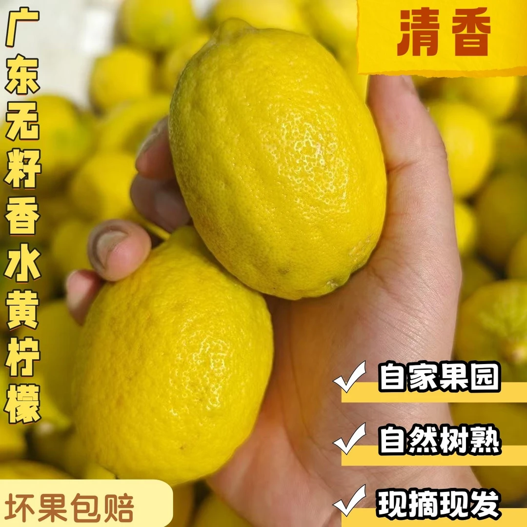 广东香水柠檬黄柠檬鲜果现摘现发香味浓郁产地直发