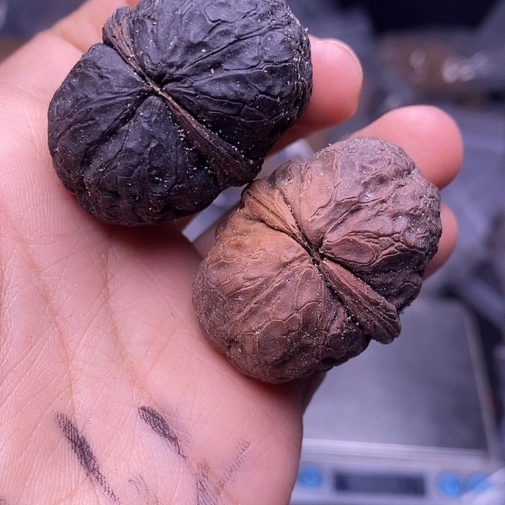 文玩核桃把件  216