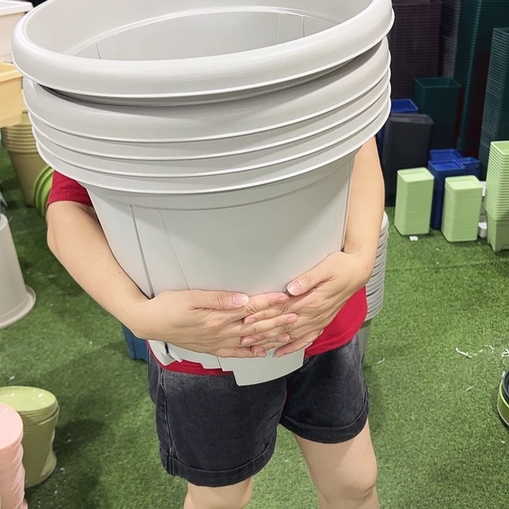 青山盆口40高35灰白色无托3只