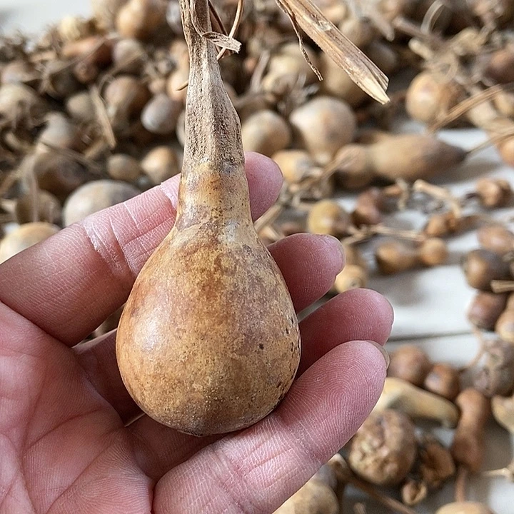 s b fi si h d c d s