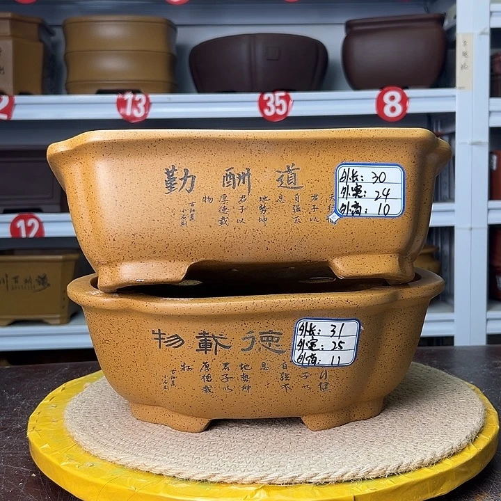 紫砂花盆蛇年大吉