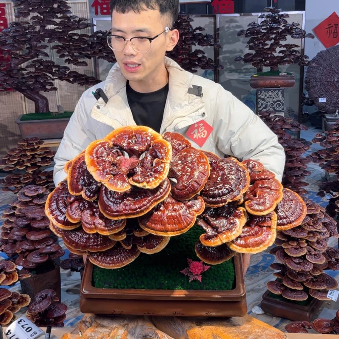 【闪购商品】888888