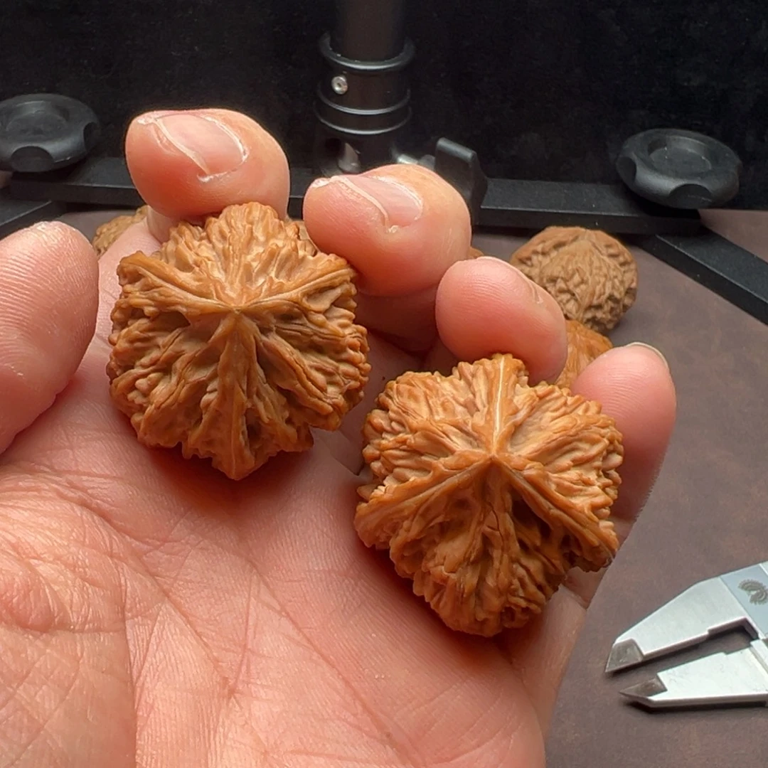 把件文玩核桃御龙粗筋正奔37