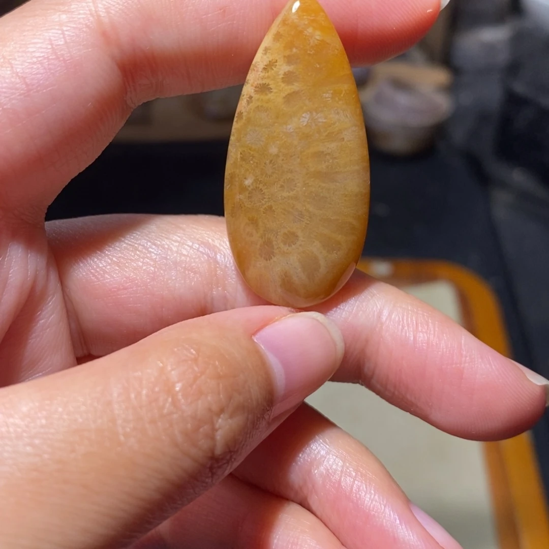【闪购商品】硅化玉珊瑚玉未镶嵌