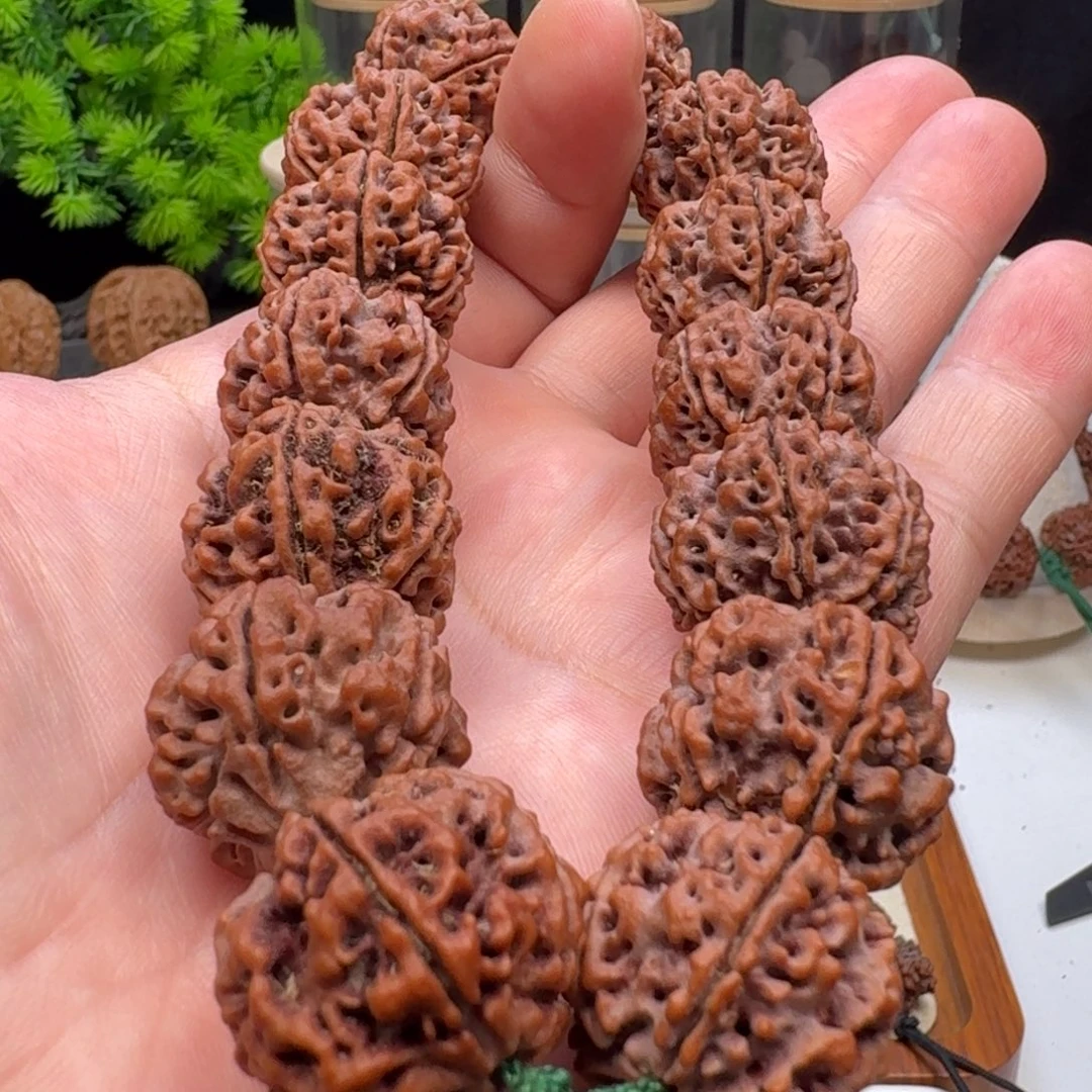 手串金刚菩提蜂窝双龙