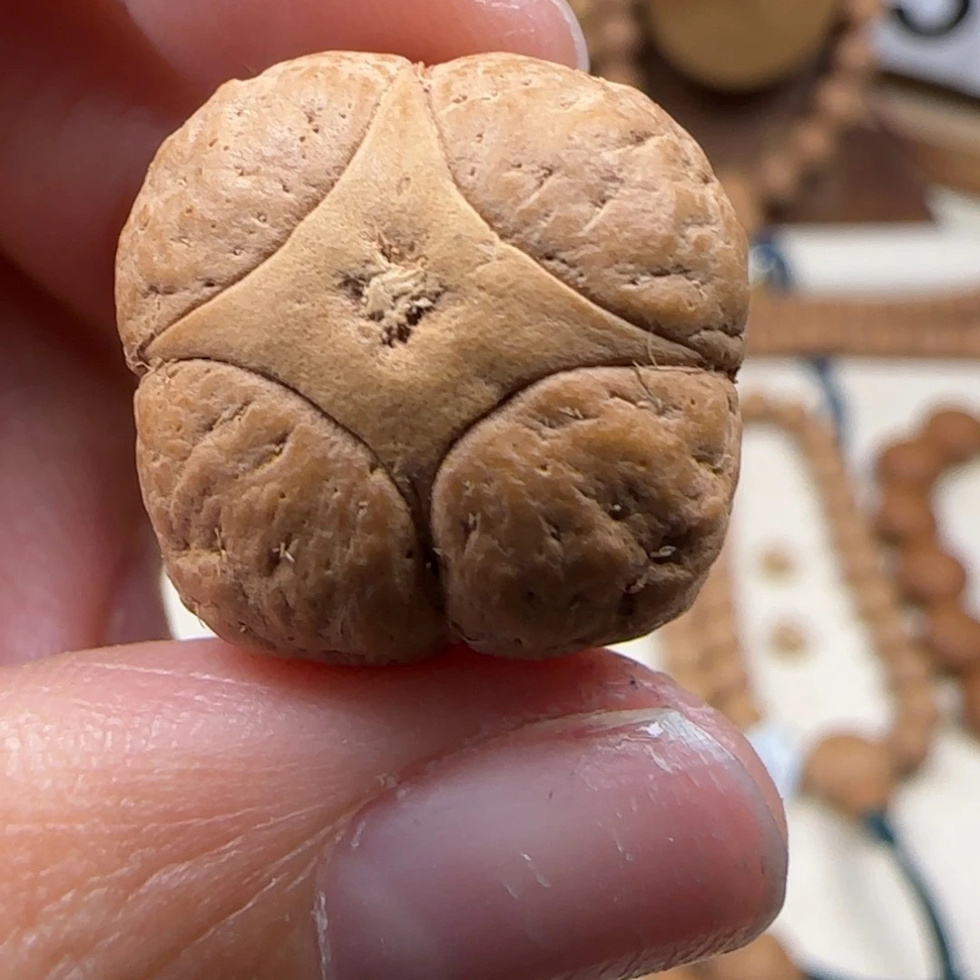 凤眼菩提吊坠麒麟单颗