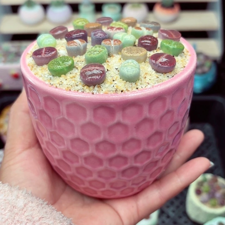 8002零下地区记得拍保温箱