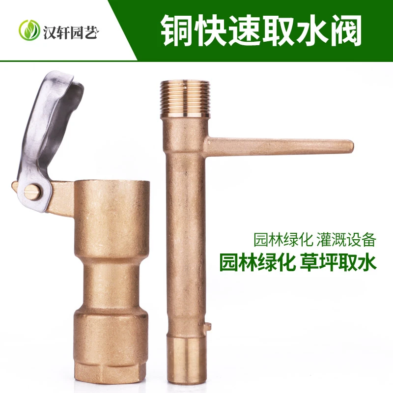 汉轩草坪园林全铜快速取水阀插杆绿化水管地接头洒水栓dn20/25