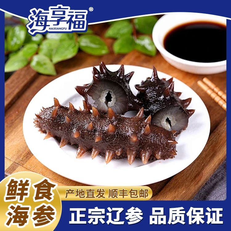 即食海参正宗辽参大连海参Q弹口感劲道大连海刺参正宗大连辽刺参
