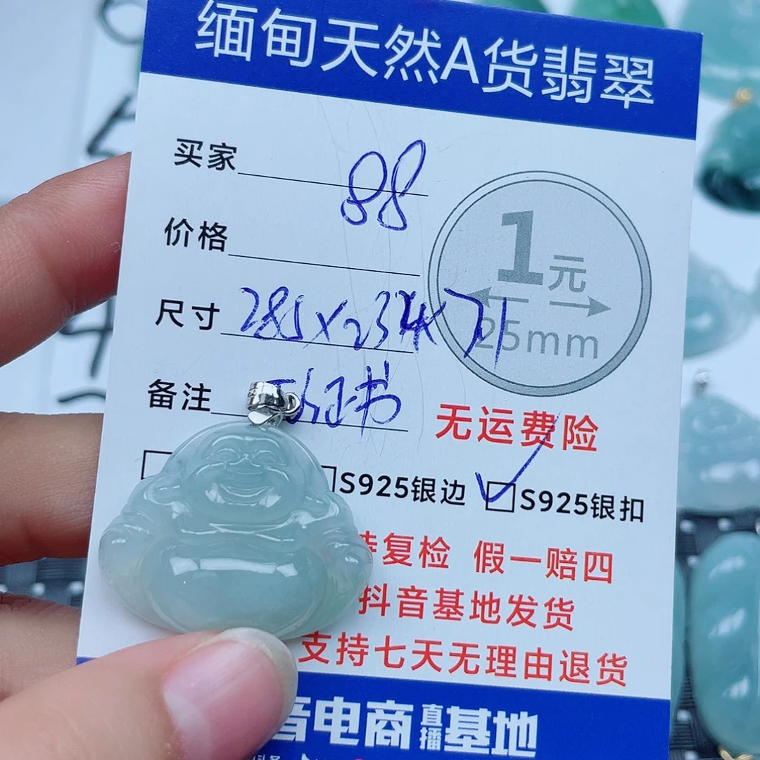 翡翠银S925镶嵌颈饰翡翠