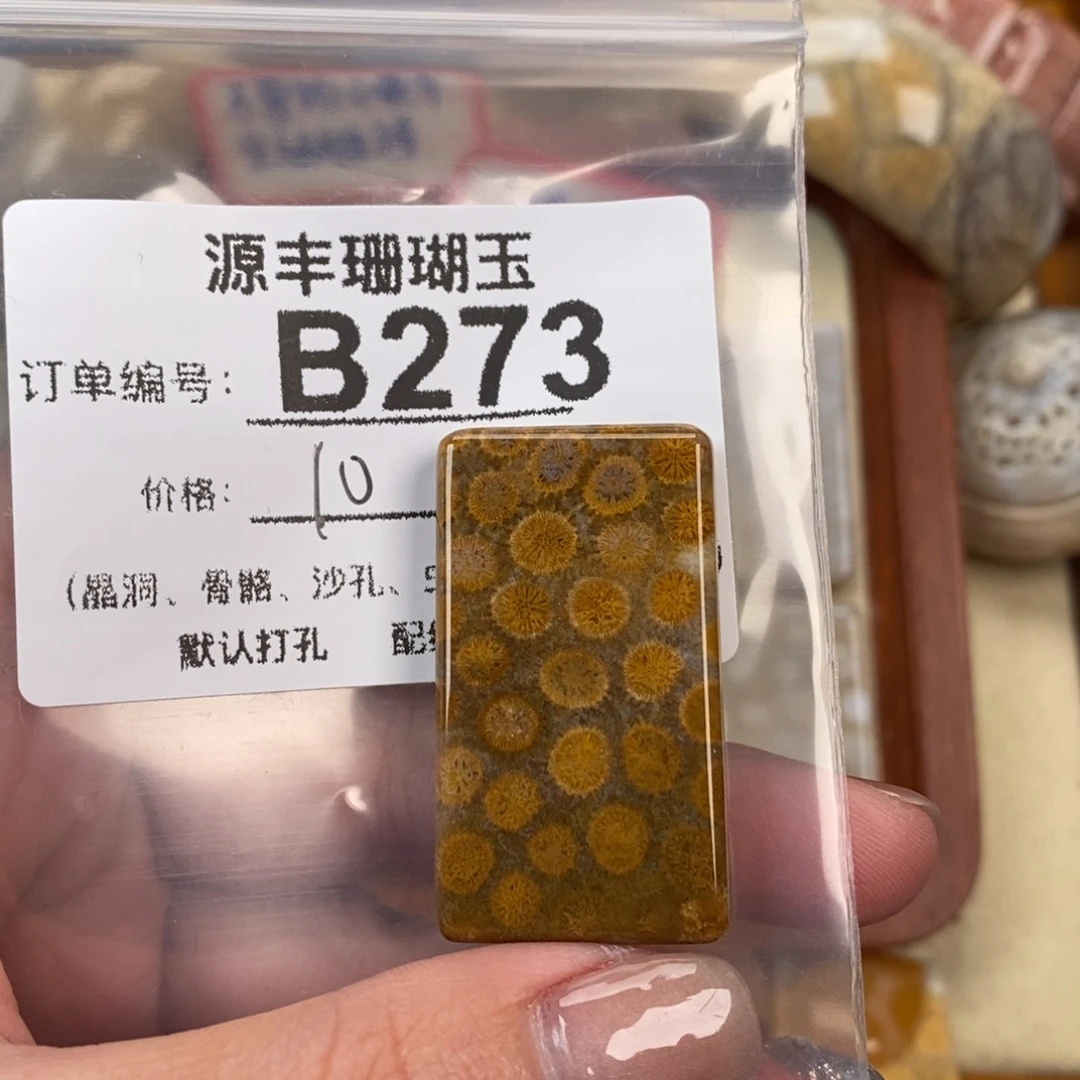 硅化玉颈饰未镶嵌鹏**里