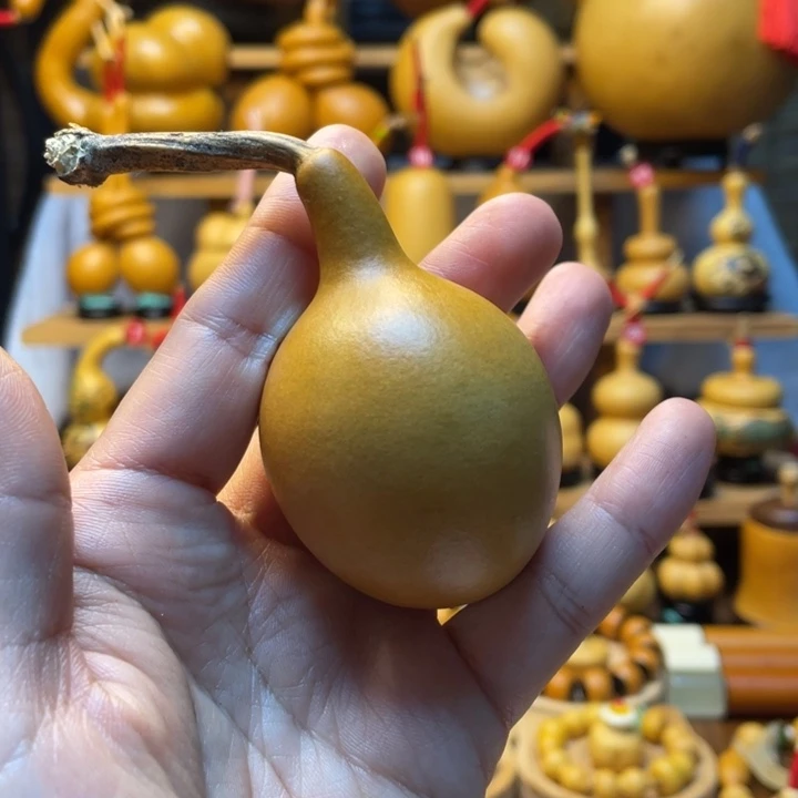 麋**子天然葫芦自然生长