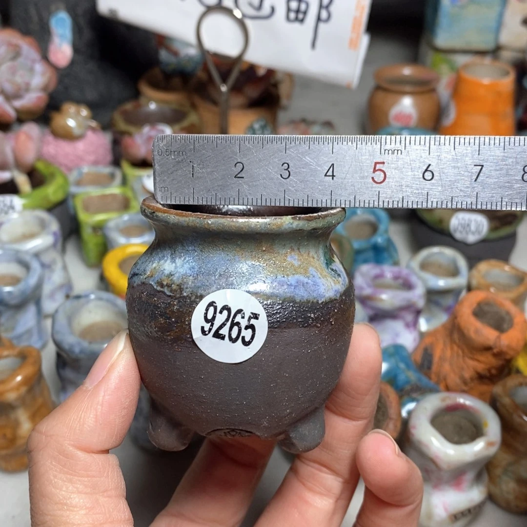 拍5送一个小礼物