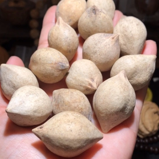 金刚菩提吊坠橄榄20颗