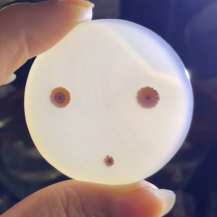 未镶嵌吊坠(不含链)玛瑙/玉髓