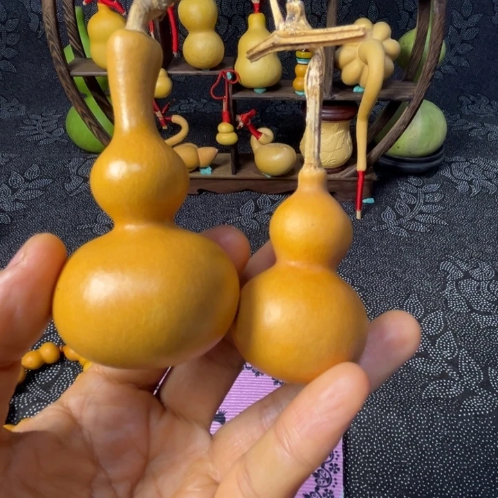 朱***权葫芦葫芦葫芦葫芦3