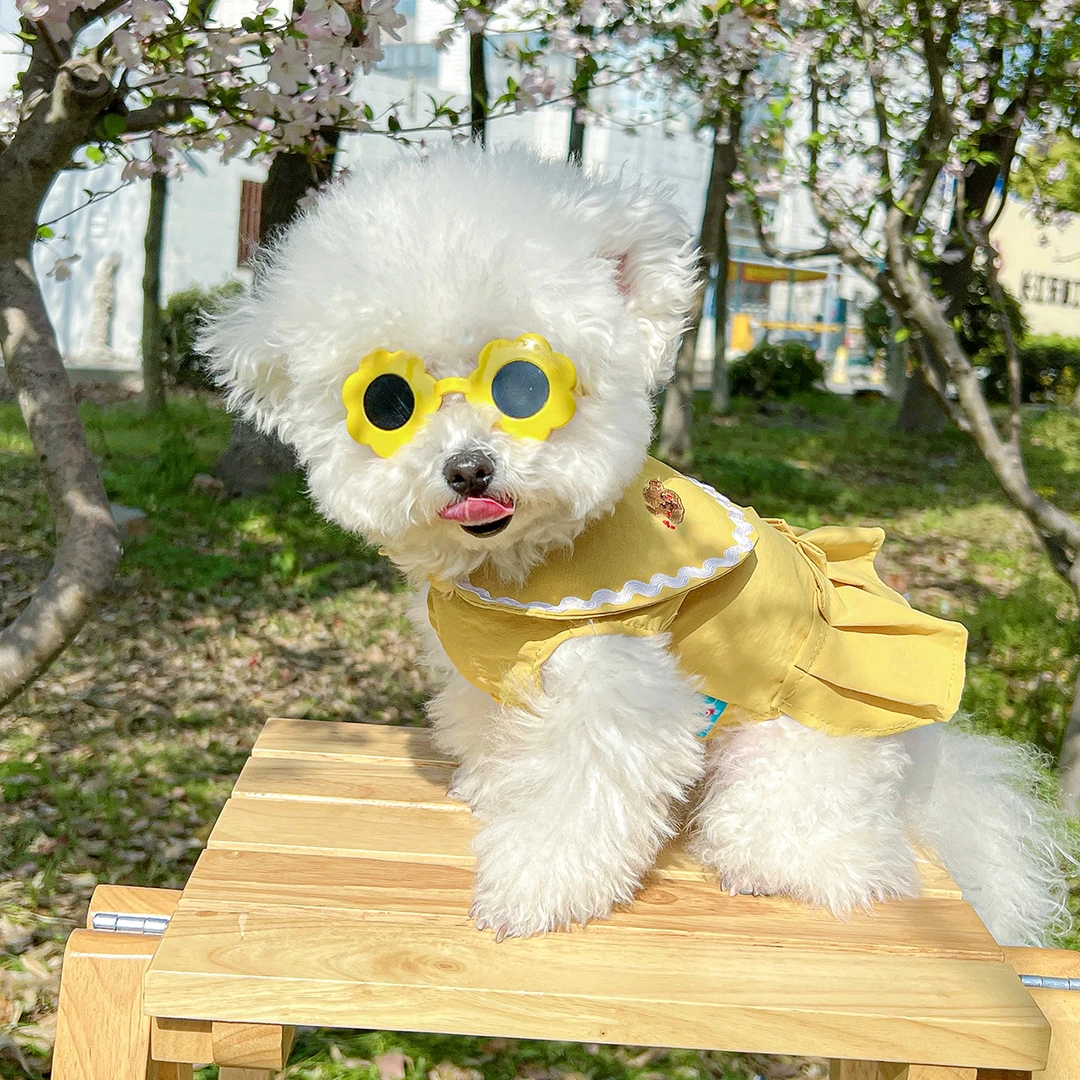 宠物狗狗春夏薄款爱心狗裙+墨镜组合泰迪比熊博美猫咪宠物夏天衣