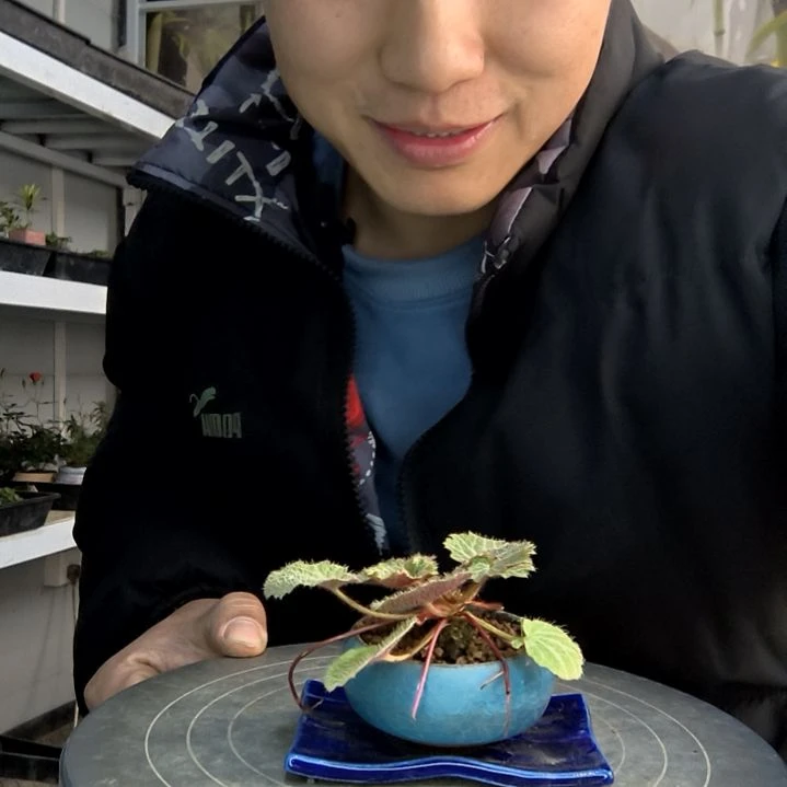 s***璜小盆景小植物一物一拍66