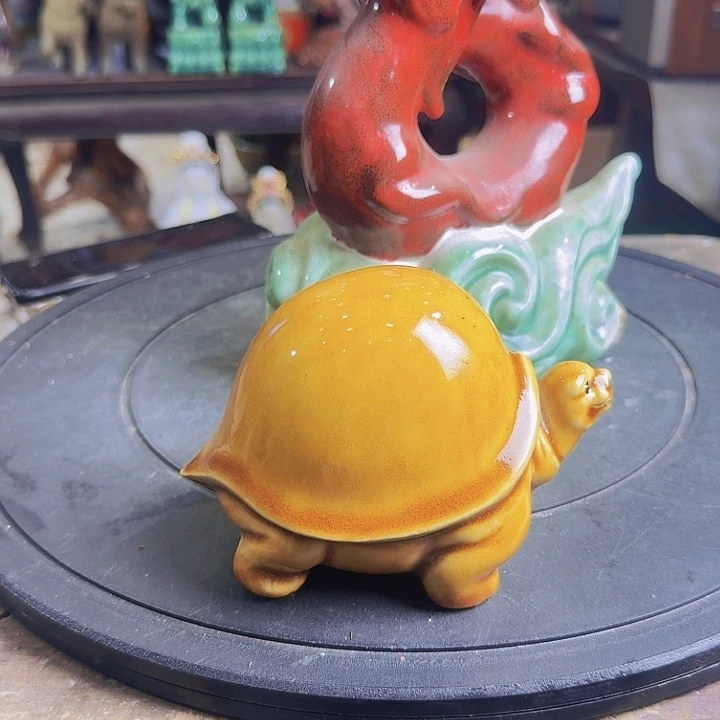 中*梦在这方面有一定经验也