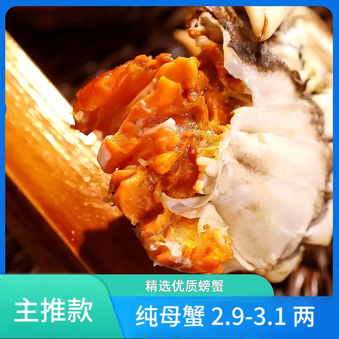 【活蟹】河蟹 母蟹2.9-3.1两 拍10送2 净重1700g 顺丰冷链包邮