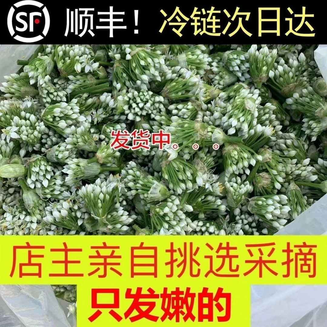 [新店促销]韭菜花顺丰包邮新鲜现摘花骨朵山东韭菜花酱