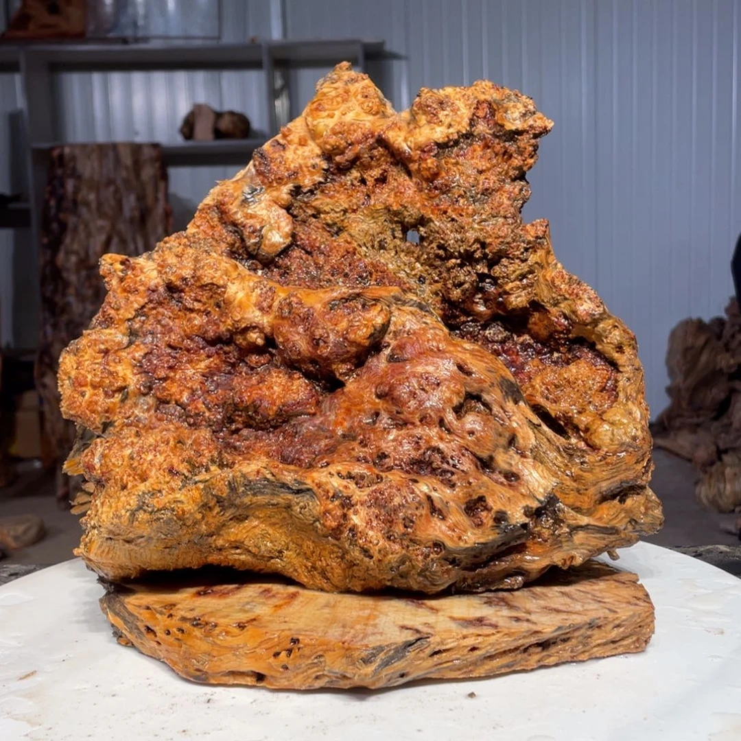 (***〜木猛子琥珀木摆件12