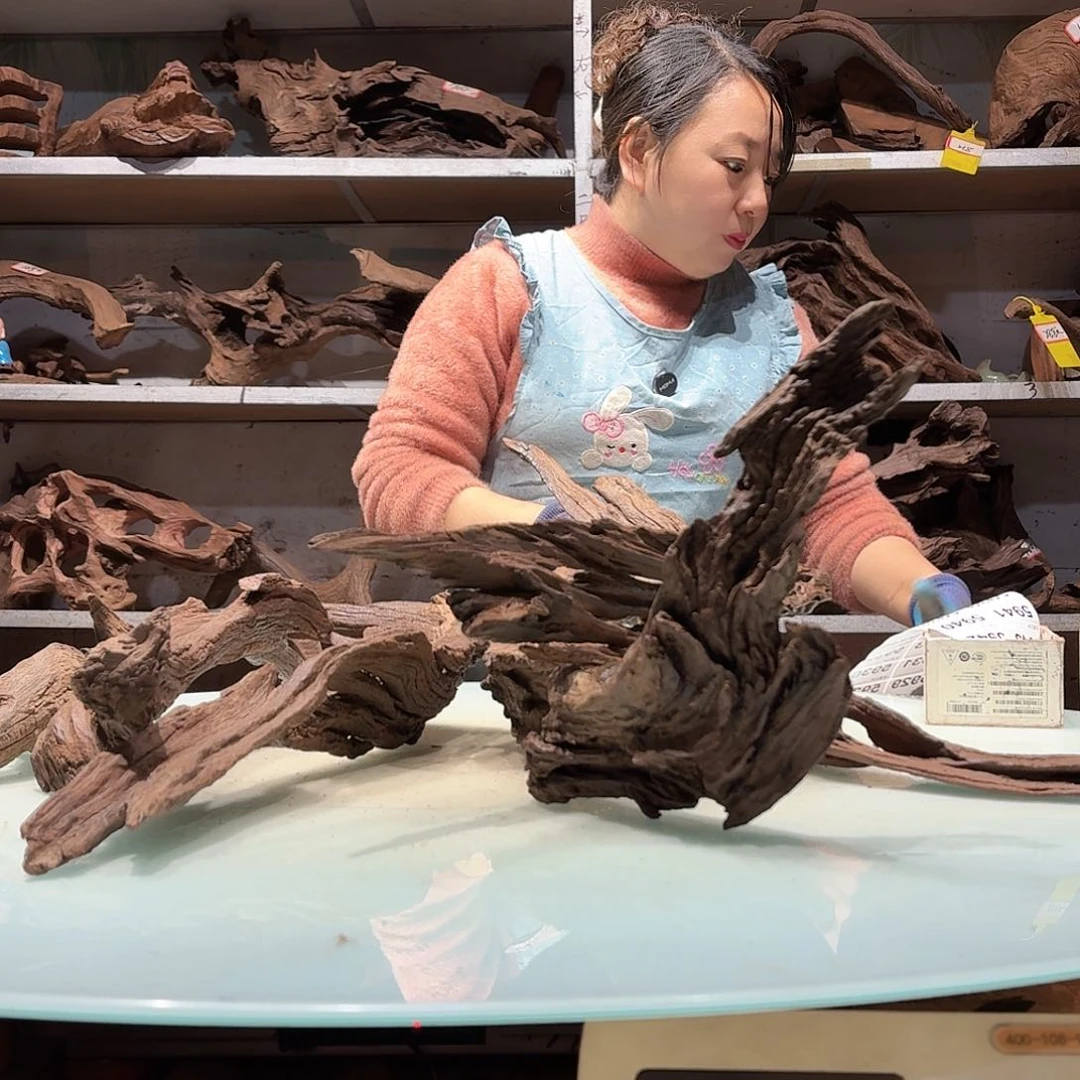 倍褚沉木不包损必褪色寺****n5922紫柚树皮