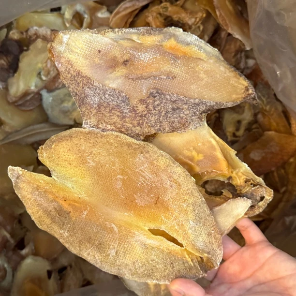 黄油螺片响螺片原色