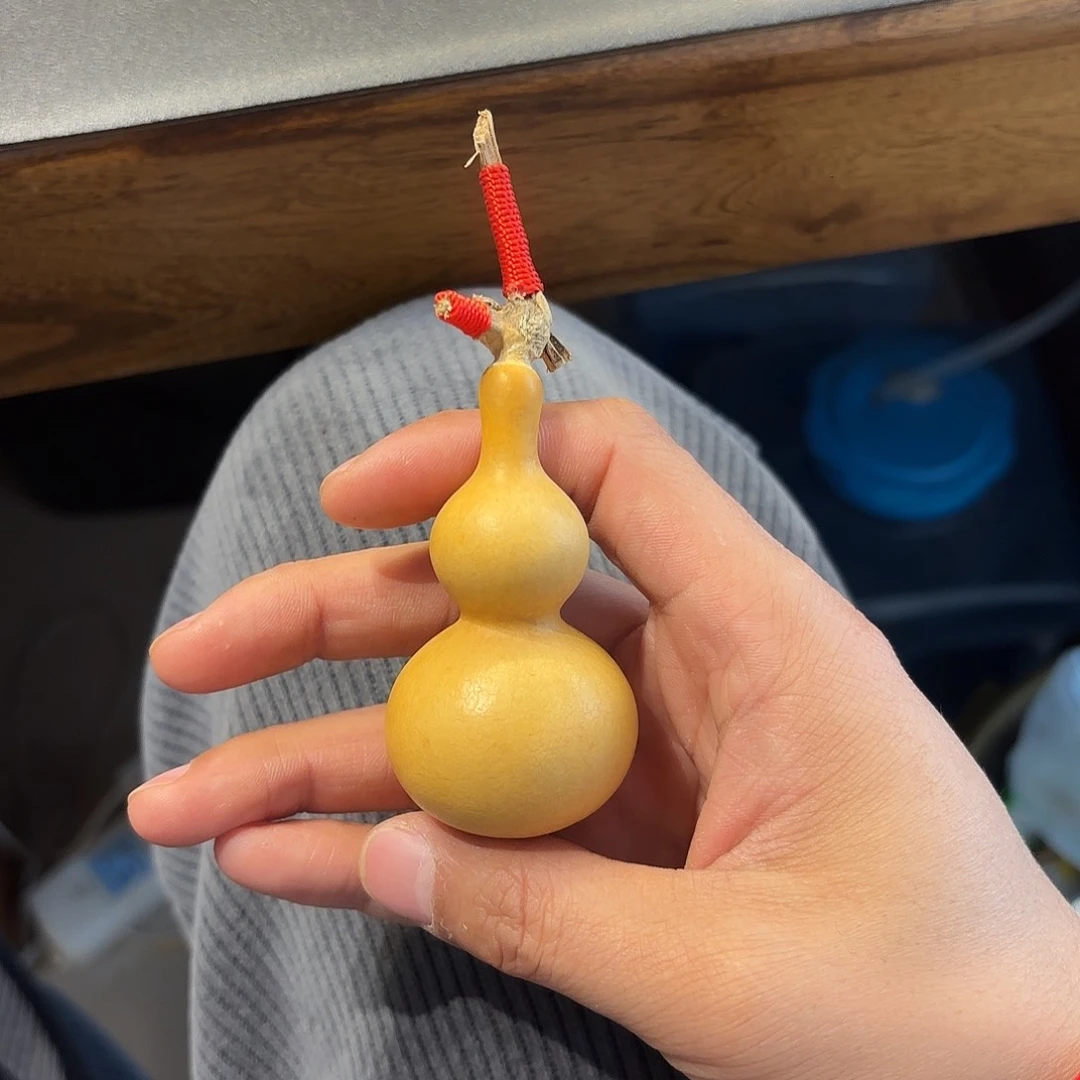 王**丶葫芦11111111111