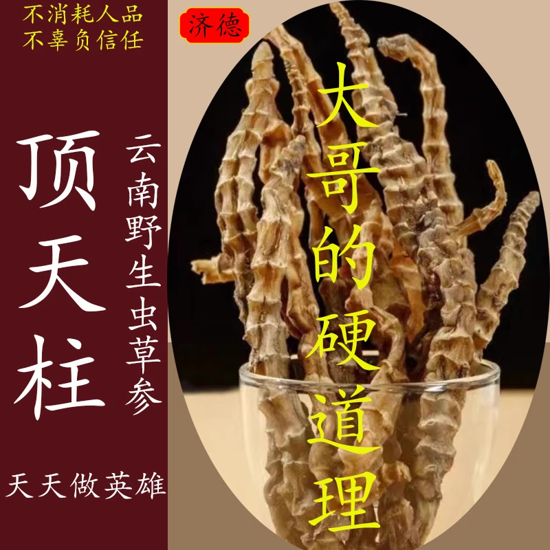 云南深山虫草参干货正宗地参顶天柱新货散装煲汤泡酒原材料