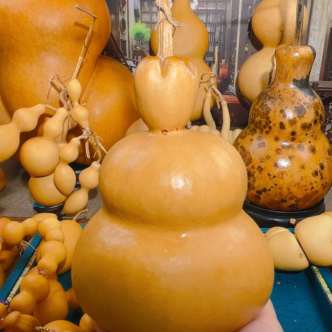 仙****ⁱ葫芦呀呀呀呀呀呀呀呀呀呀呀