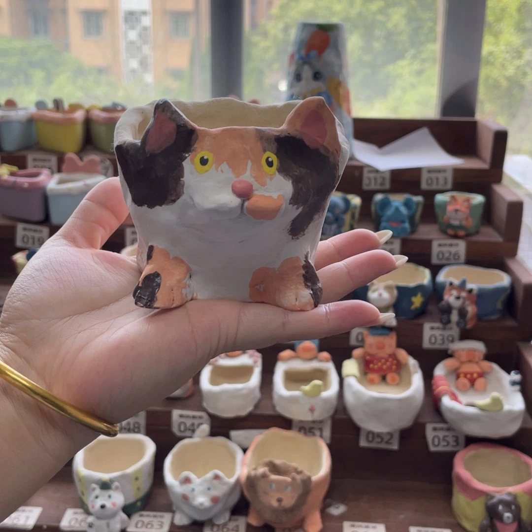 行***疆55555555555555