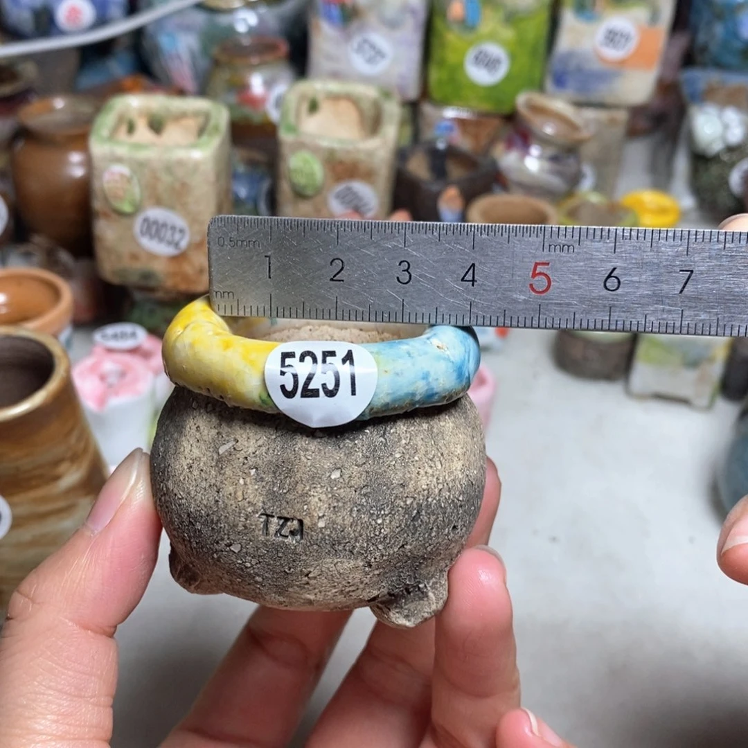 拍5送一个小礼物