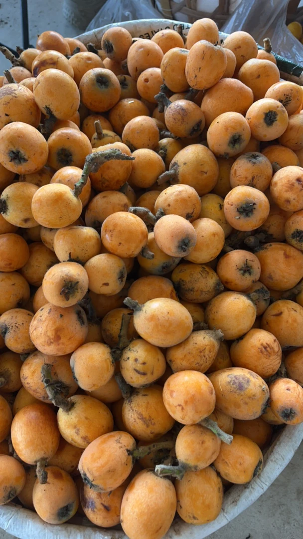 云南农家新鲜采摘枇杷超多水新鲜上架