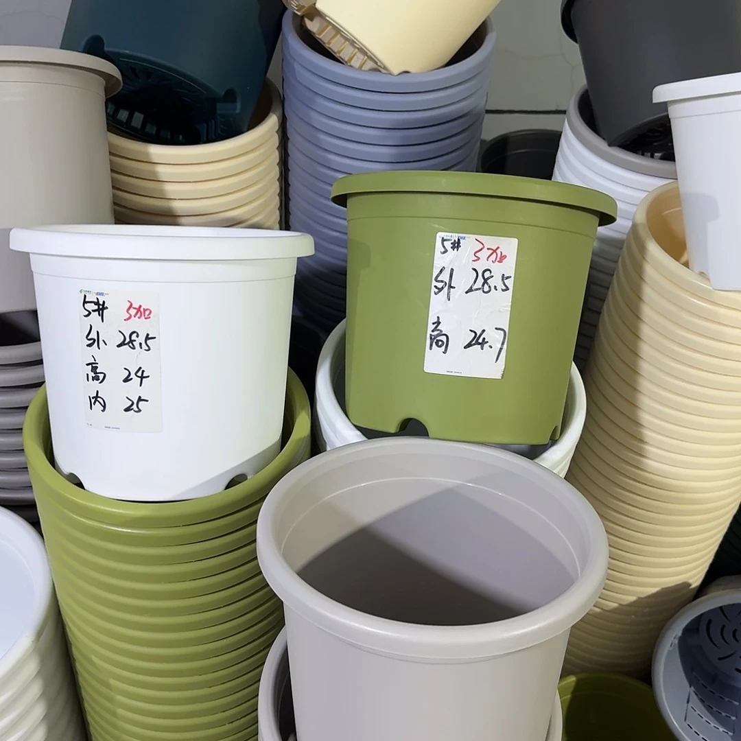 微瑕5号6个无托，果绿