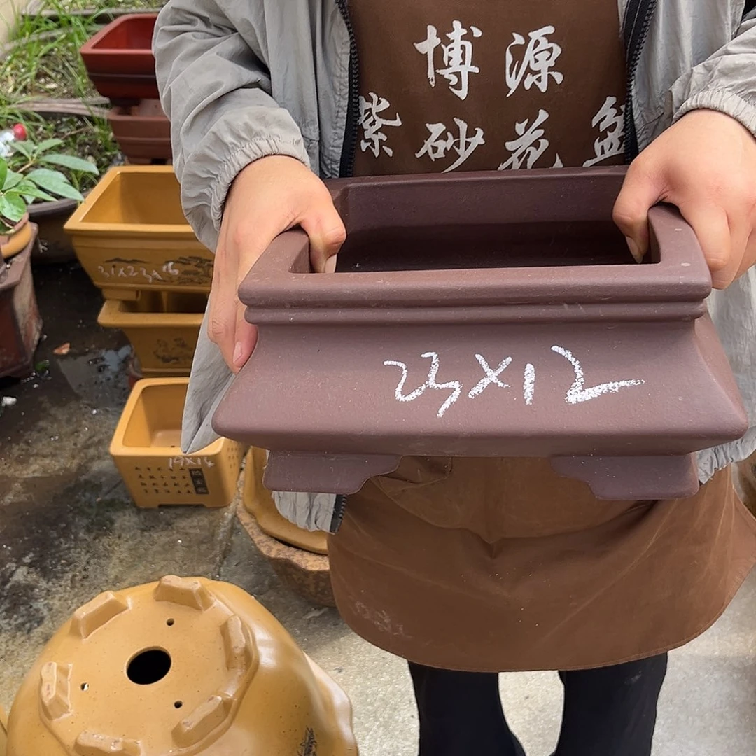 紫砂花盆盆景艺术