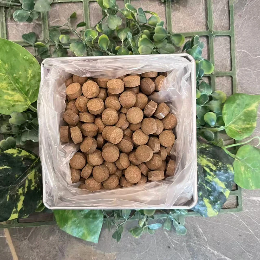 雨腾古茶  Y圣”G特T L 液 大圆M”Y倍J炼60g/盒（12月21）