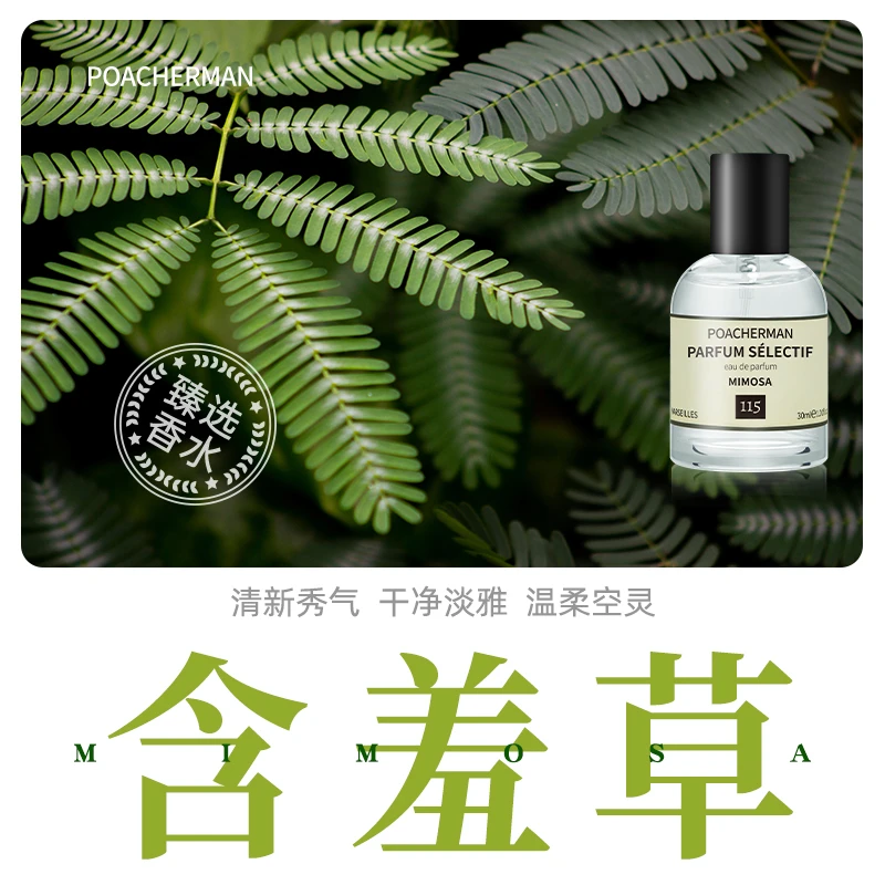 poacherman柏世曼115号含羞草香水 清新感应草芳草香调男女士香水