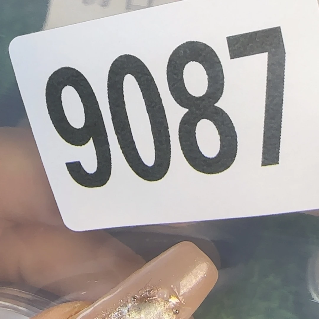 新号开播福利多多