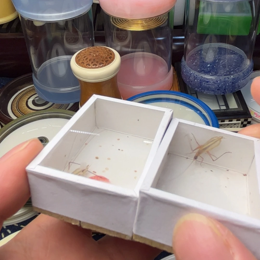 恺***好的我真的是很想