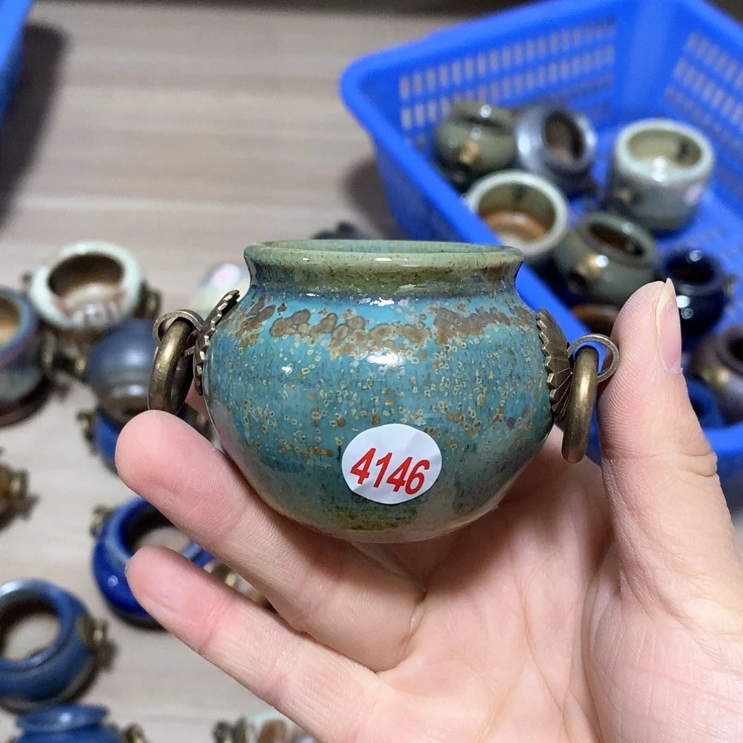 红陶向*葵拍5送一个小