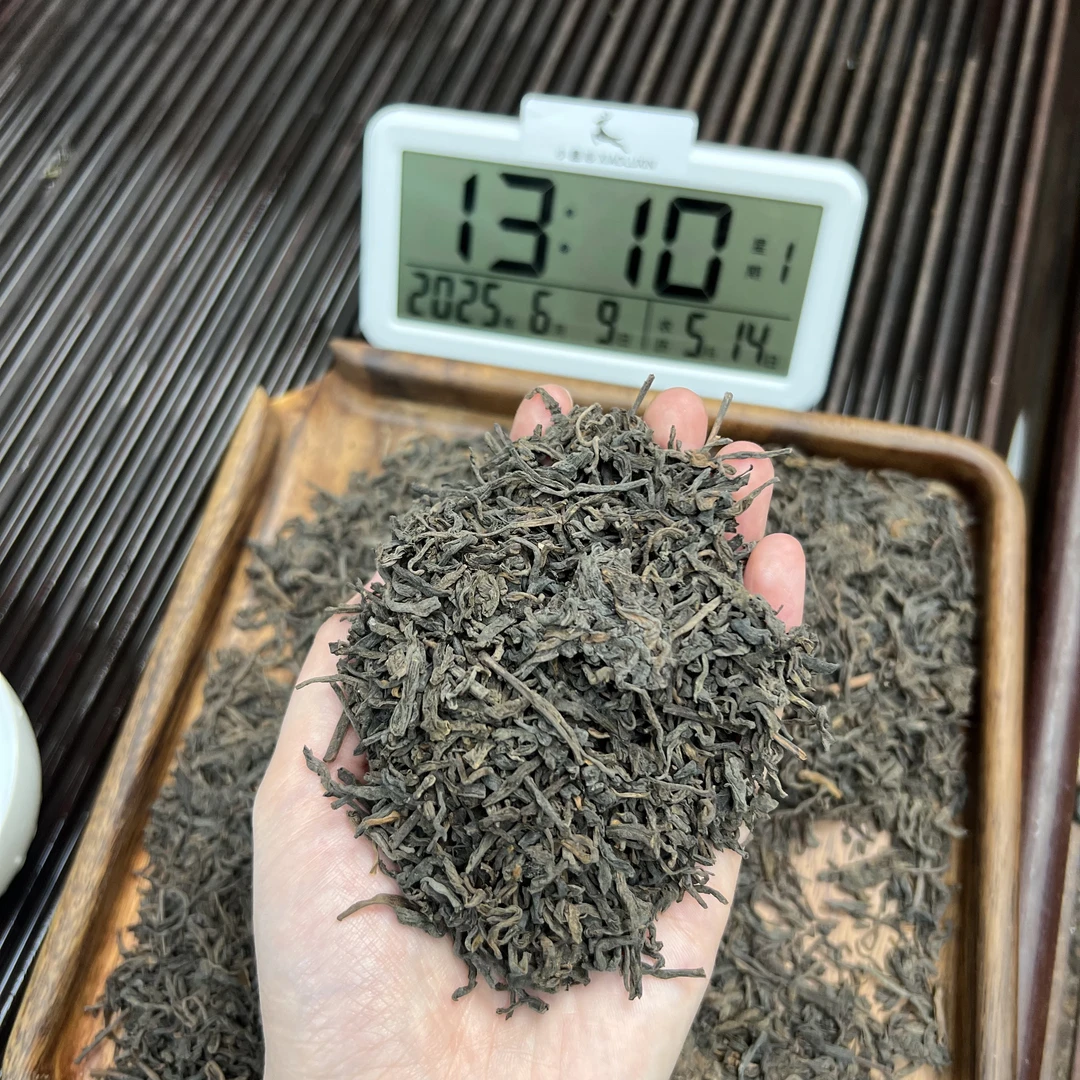 枣甜香六堡茶 小鹿收茶 广西黑茶 六堡茶 6月9