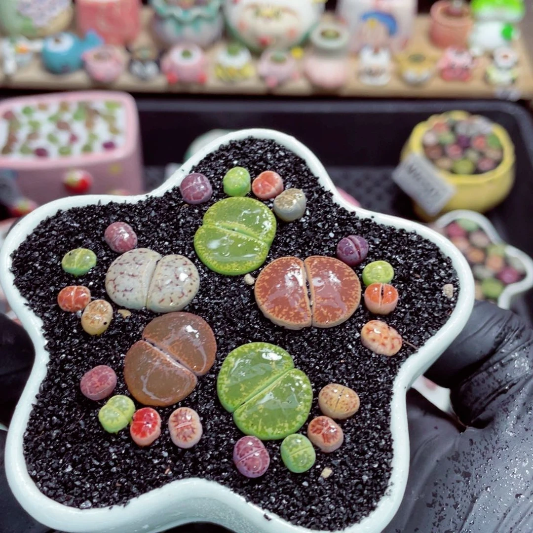 夜间零下地区拍保温箱w6549