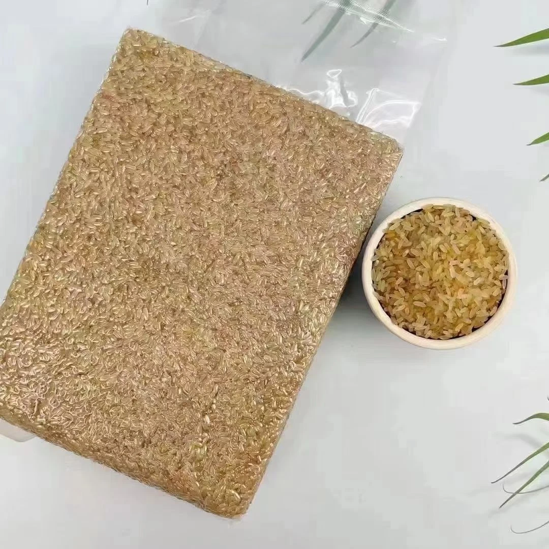 客家特产菩米米骨客家蒲米冬米蒸熟米