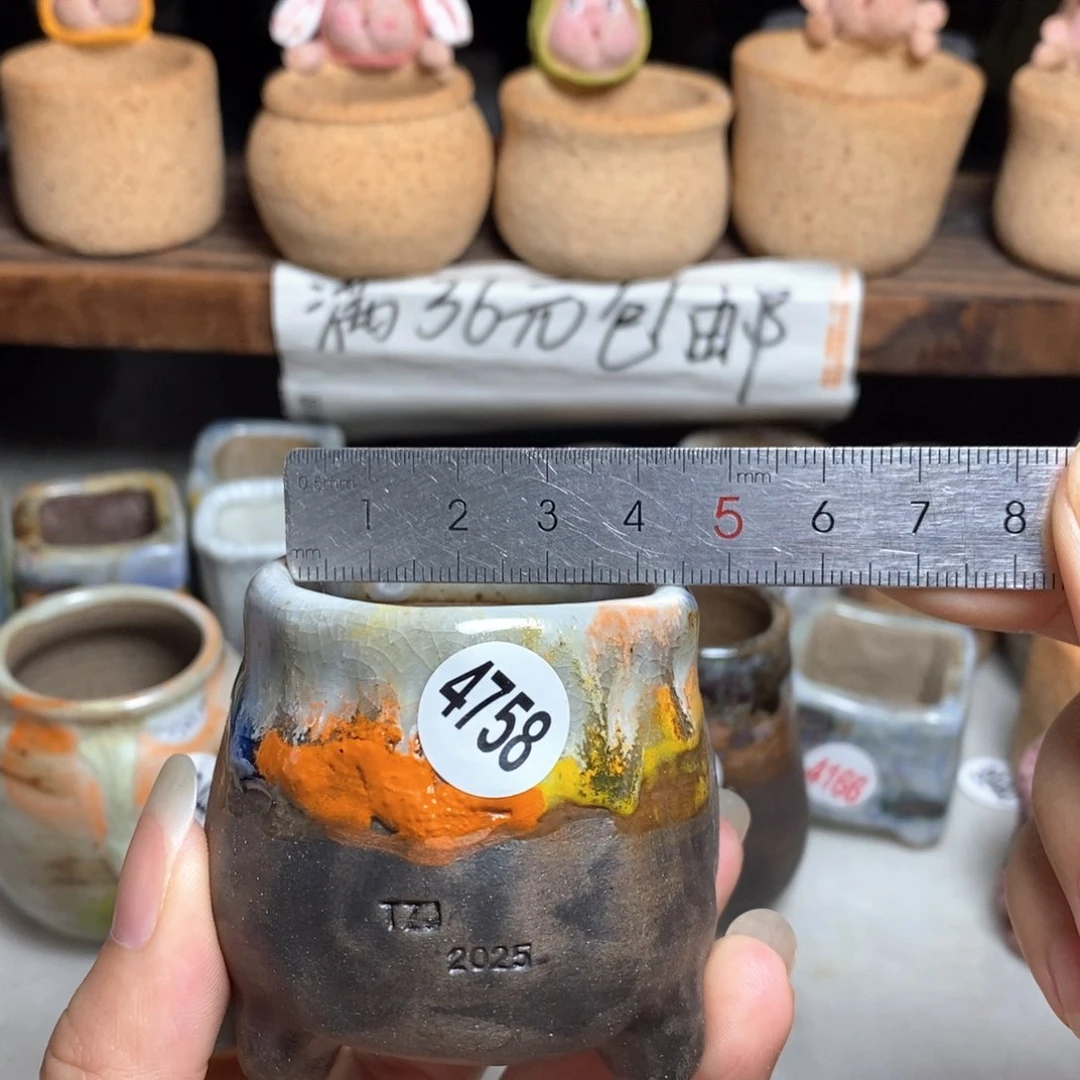 拍5送一个小礼物